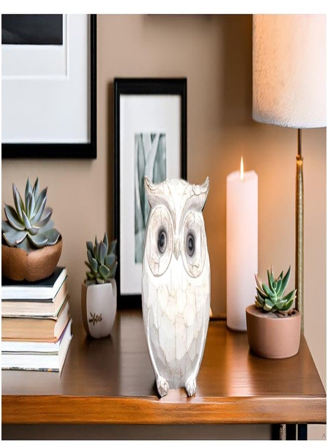 QIAOIDEA Rustic Carved Owl Figurine - Chubby Owl Decor for Home and Office - Shelf, Desktop, Cabinet, Fireplace Mantel - Image 3